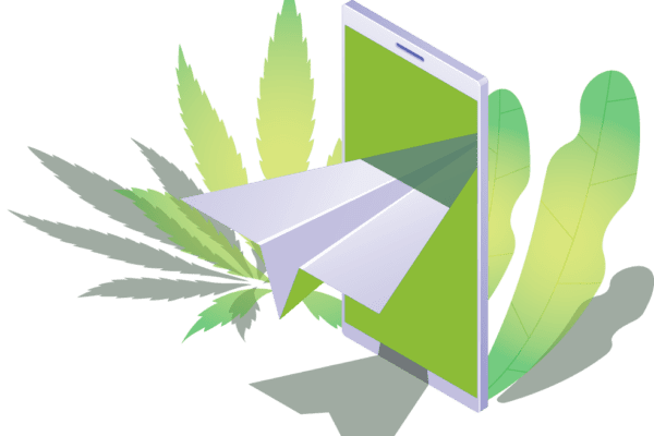 Cannabis Email Marketing