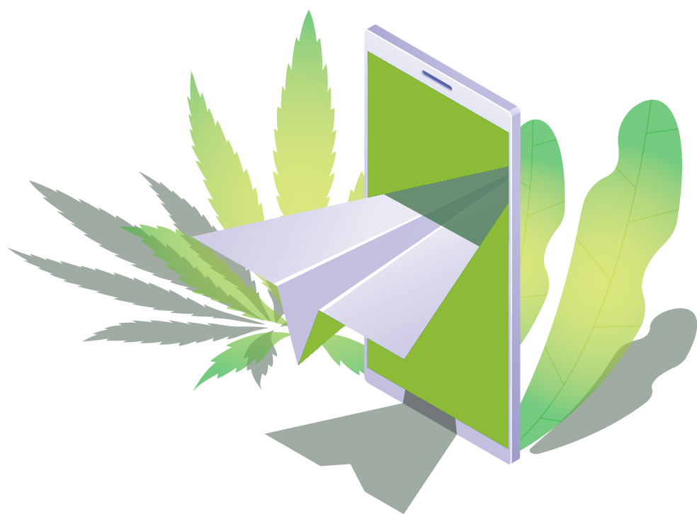 Cannabis Email Marketing